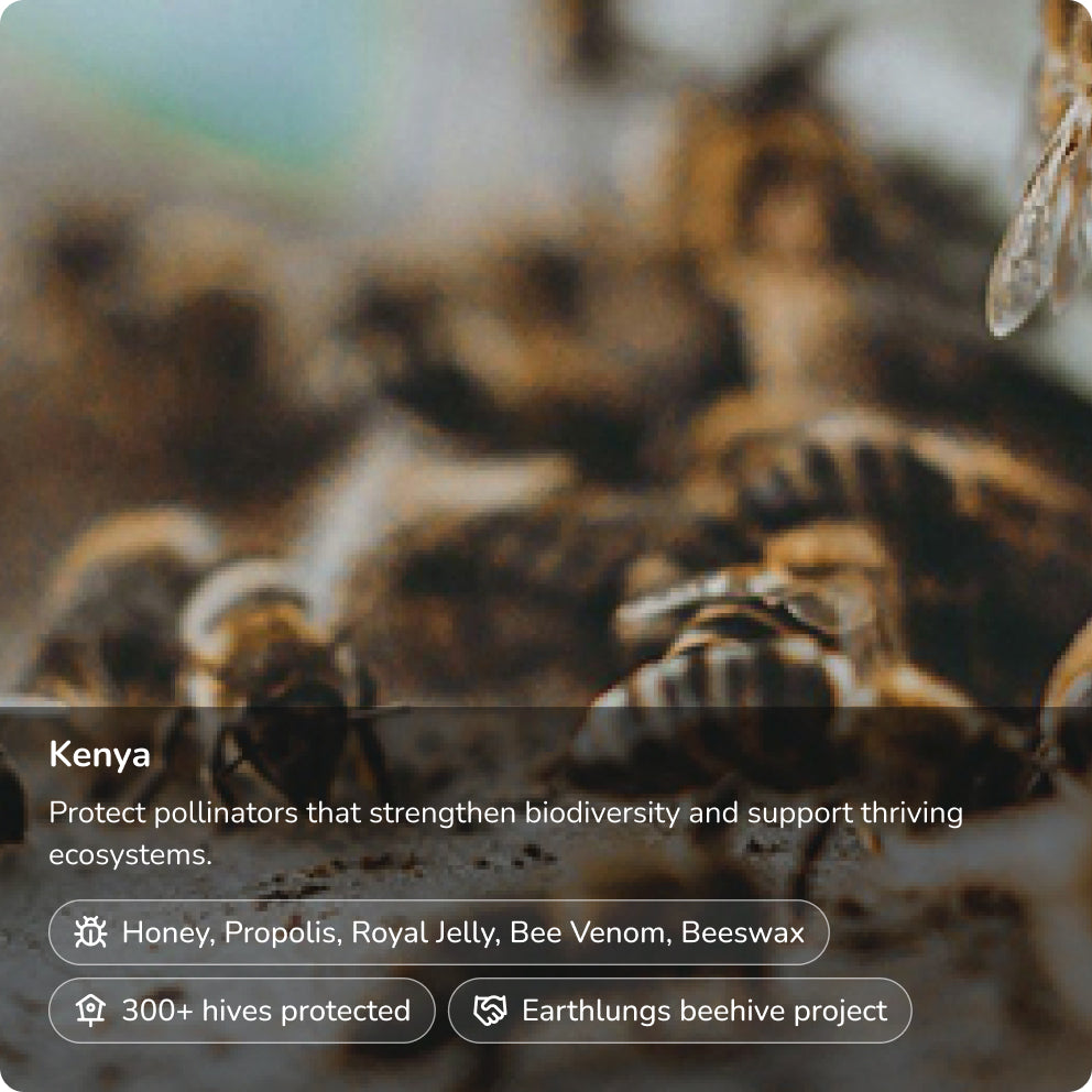 Protect the Bees
