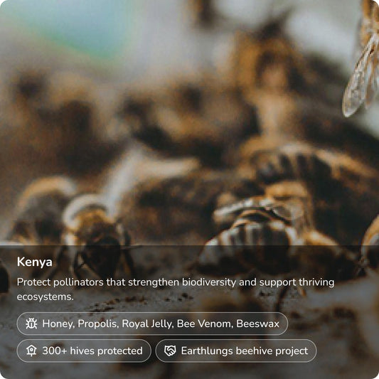 Protect the Bees