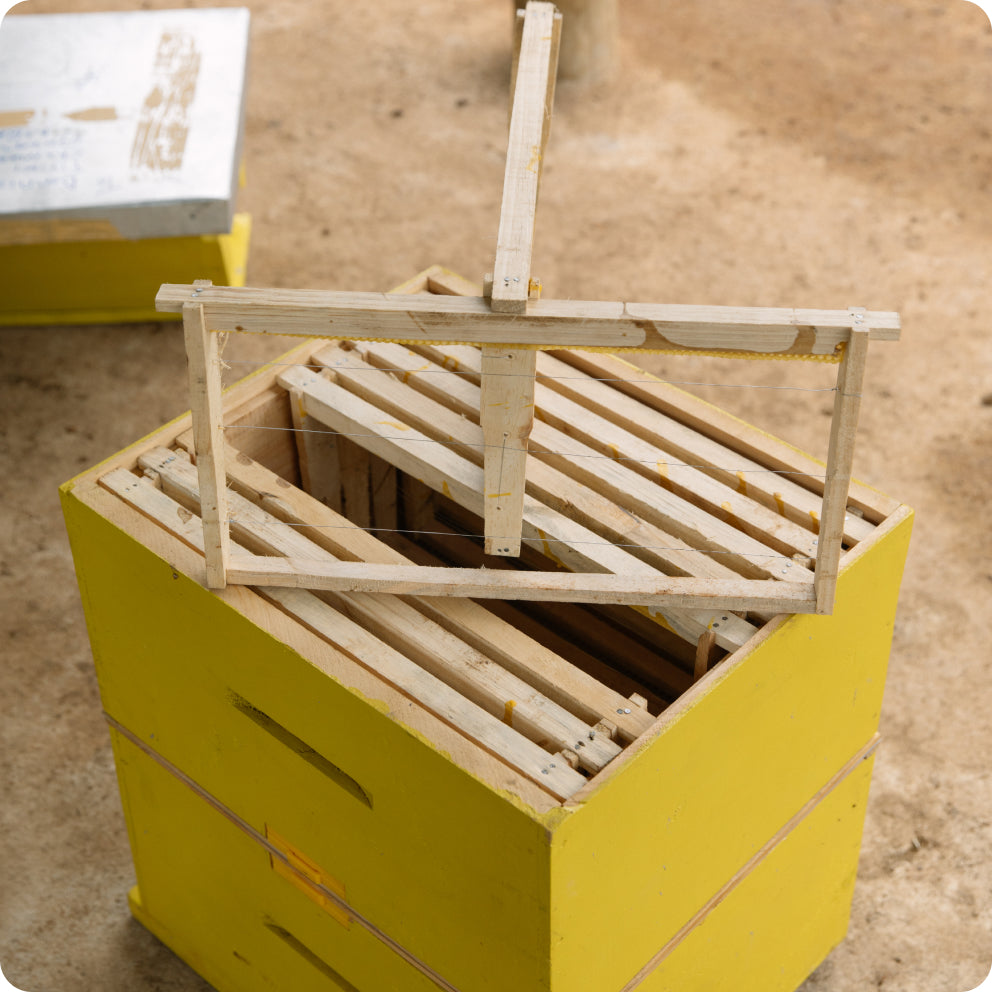 Protect the Bees