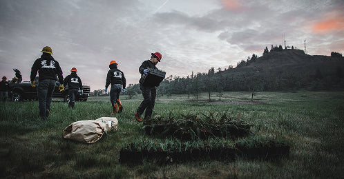 Plant Trees in Oregon
